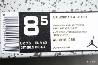 DRAKE AQ3816-056 NRG AIR SIGNATURE 4 JORDAN "RAPTORS" AJ4 0817